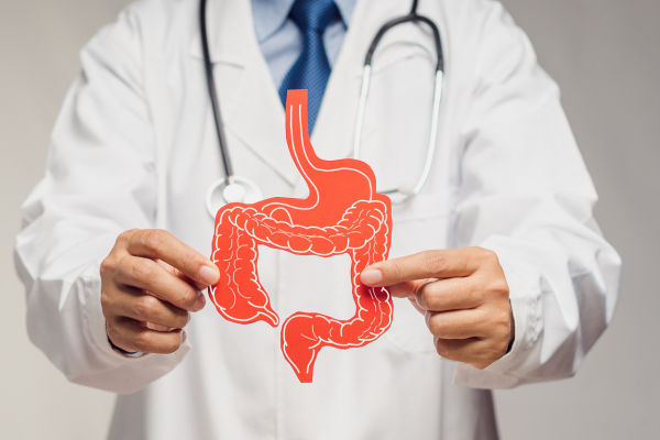 Kollagen Nyckeln till bättre tarmhälsa