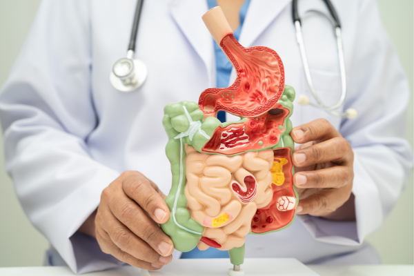 Kollagen, prebiotika och glutamin för bättre maghälsa